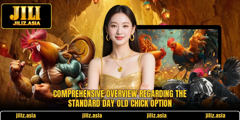Comprehensive overview regarding the standard Day Old Chick option