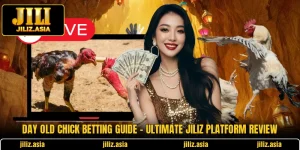 Day Old Chick Betting Guide - Ultimate JILIZ Platform Review
