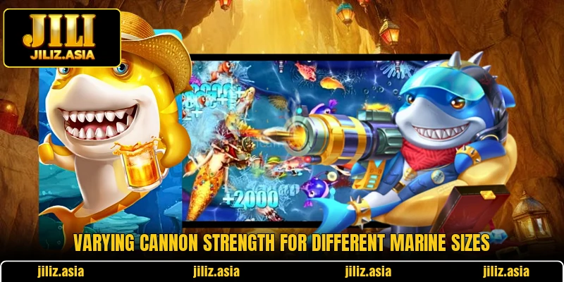 Varying cannon strength for different marine sizes Varying cannon strength for different marine sizes